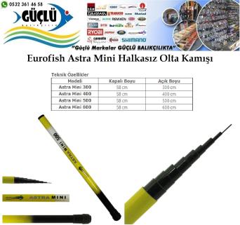 Göl Kamışı Mini Halkasiz Eurofish Marka 5 Metre