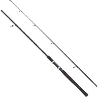 Fladen Charter 2P 210 CM 10-30 G Aksiyon Spin Kamış